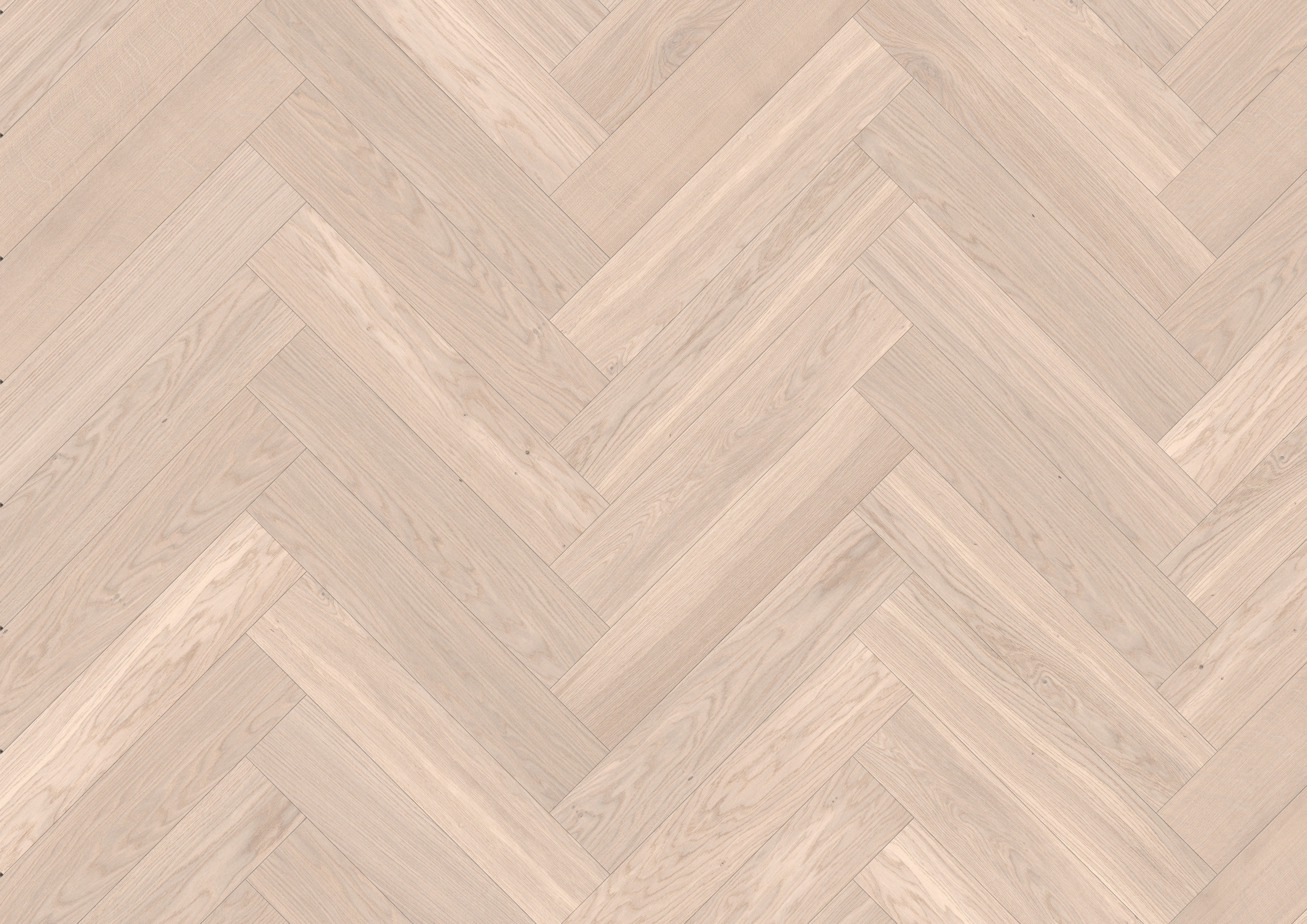 Epico modern 140 Colourline