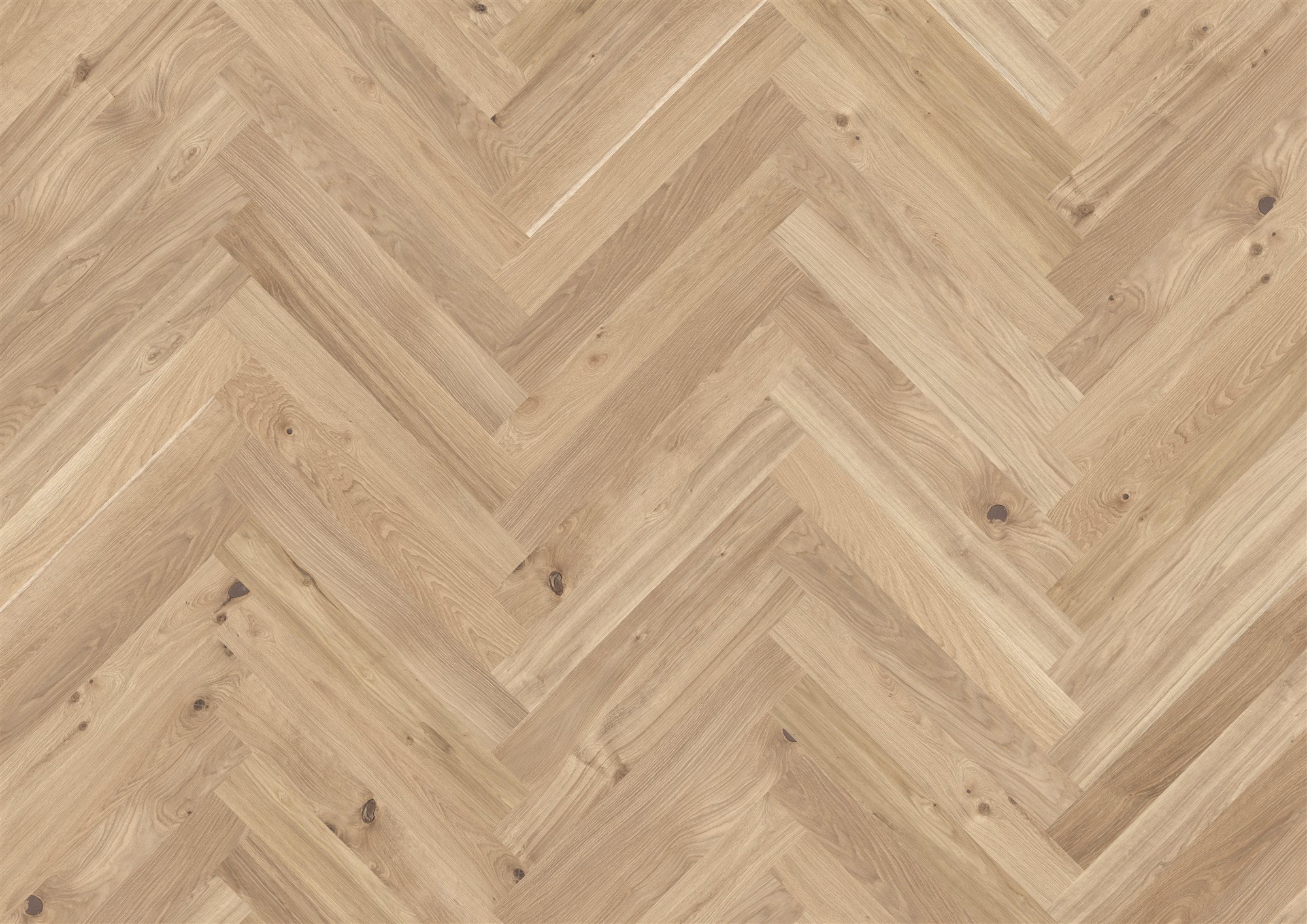 Actus Emocion 6.0 Colourline – Eiche, Fischgrät 90°