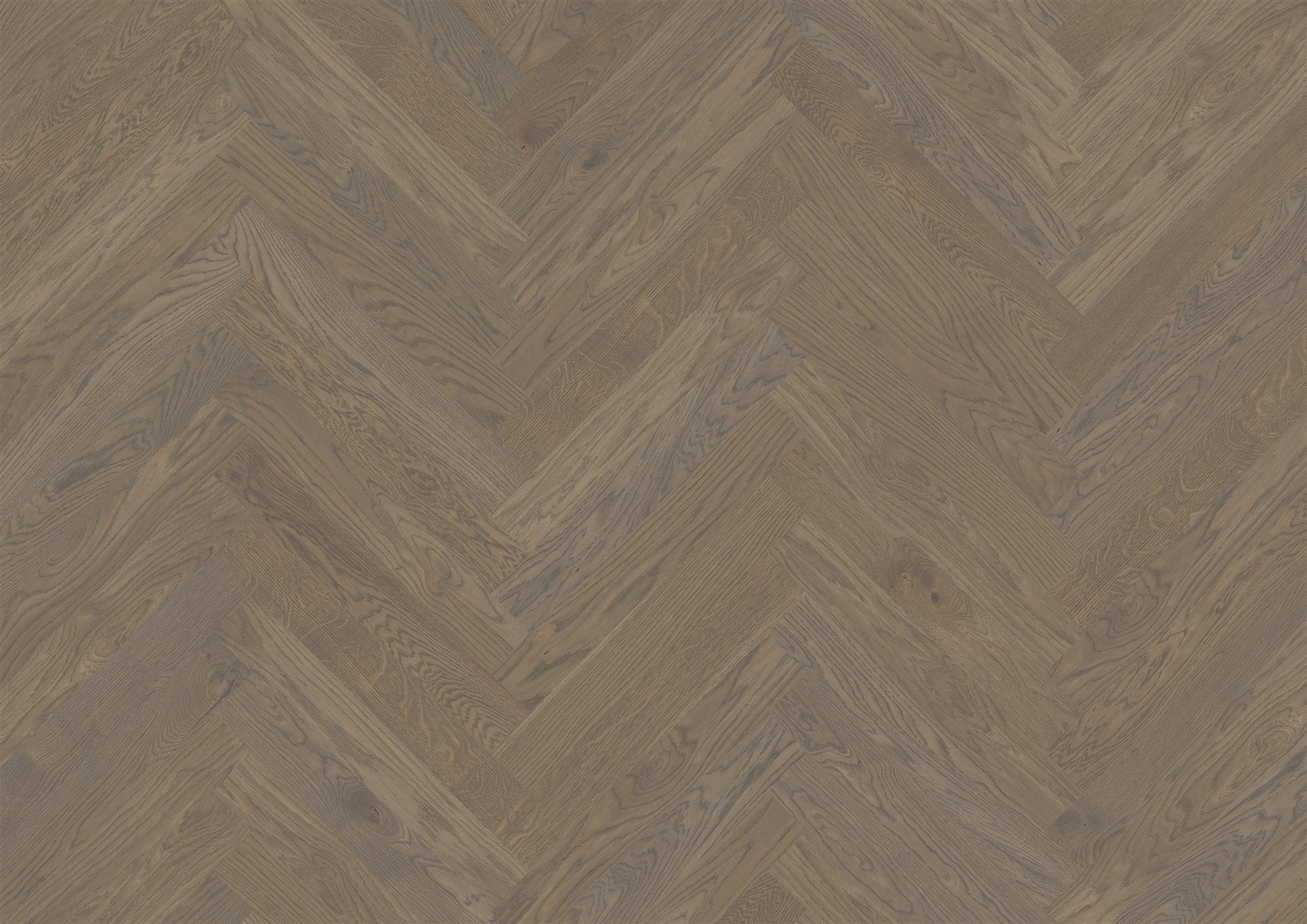 Actus Emocion 4.0 Colourline – Eiche, Fischgrät 90°